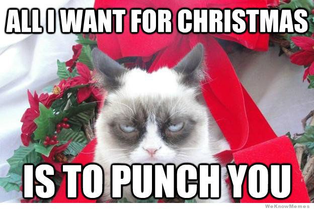 grumpy-cat-christmas-meme-all-i-want-for-christmas